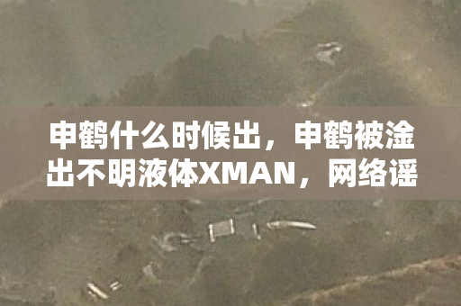 申鹤什么时候出,申鹤被淦出不明液体XMAN,网络谣言的警示 申鹤什么时候出,申鹤被淦出不明液体XMAN,网络谣言的警示