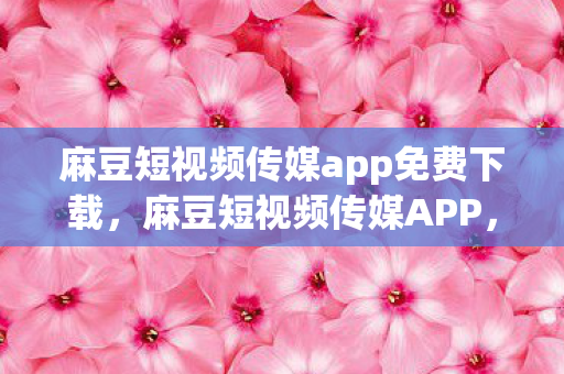 麻豆短视频传媒app免费下载，麻豆短视频传媒APP，解锁娱乐新体验，免费下载开启！