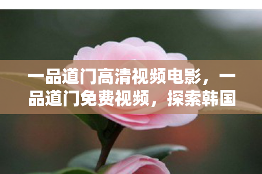 一品道门高清视频电影，一品道门免费视频，探索韩国传统文化的神秘之旅