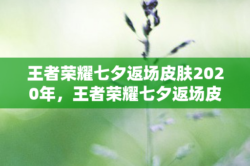 王者荣耀七夕返场皮肤2020年，王者荣耀七夕返场皮肤2020，重温经典，浪漫来袭