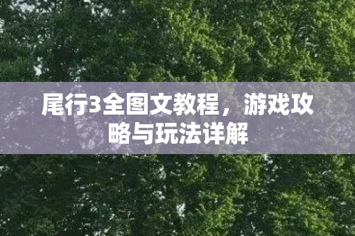 尾行3全图文教程,游戏攻略与玩法详解 尾行3全图文教程,游戏攻略与玩法详解