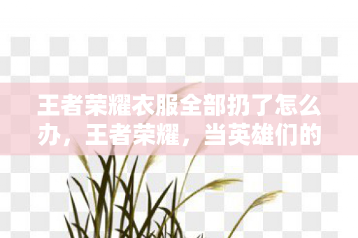 王者荣耀衣服全部扔了怎么办,王者荣耀,当英雄们的衣物不再束缚,一场虚拟与现实的交织盛宴 王者荣耀衣服全部扔了怎么办,王者荣耀,当英雄们的衣物不再束缚,一场虚拟与现实的交织盛宴
