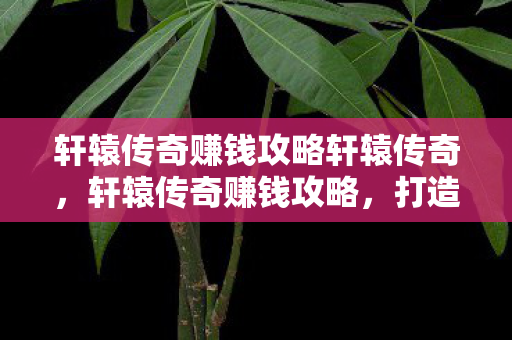 轩辕传奇赚钱攻略轩辕传奇,轩辕传奇赚钱攻略,打造财富之路 轩辕传奇赚钱攻略轩辕传奇,轩辕传奇赚钱攻略,打造财富之路