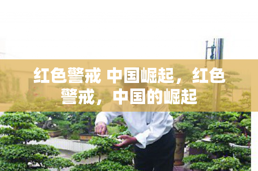 红色警戒 中国崛起，红色警戒，中国的崛起