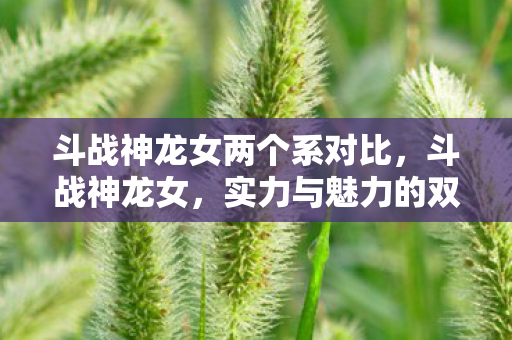 斗战神龙女两个系对比，斗战神龙女，实力与魅力的双重展现