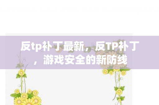 反tp补丁最新,反TP补丁,游戏安全的新防线 反tp补丁最新,反TP补丁,游戏安全的新防线