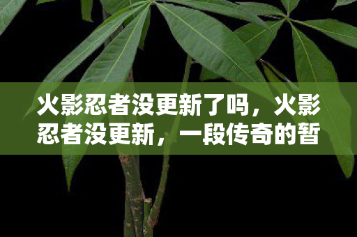 火影忍者没更新了吗,火影忍者没更新,一段传奇的暂停 火影忍者没更新了吗,火影忍者没更新,一段传奇的暂停