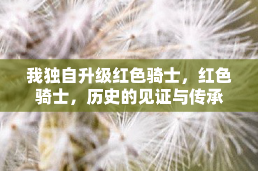 我独自升级红色骑士,红色骑士,历史的见证与传承 我独自升级红色骑士,红色骑士,历史的见证与传承