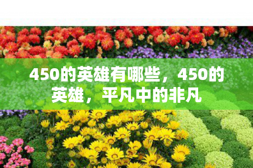 450的英雄有哪些,450的英雄,平凡中的非凡 450的英雄有哪些,450的英雄,平凡中的非凡