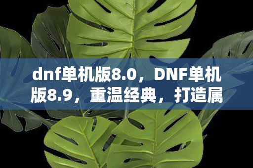 dnf单机版8.0,DNF单机版8.9,重温经典,打造属于你的地下城世界 dnf单机版8.0,DNF单机版8.9,重温经典,打造属于你的地下城世界