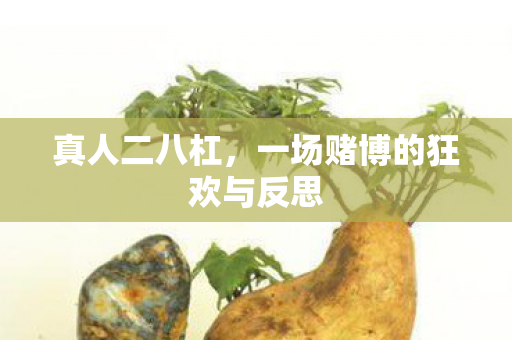 真人二八杠,一场赌博的狂欢与反思 真人二八杠,一场赌博的狂欢与反思