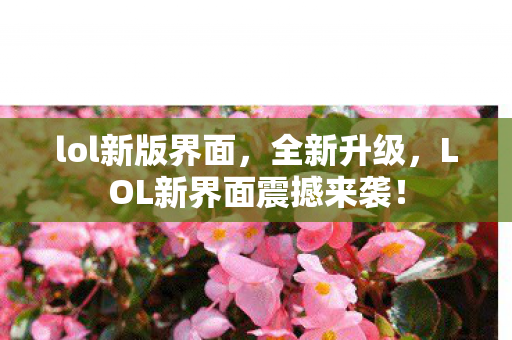 lol新版界面，全新升级，LOL新界面震撼来袭！