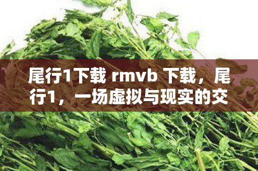 尾行1下载 rmvb 下载，尾行1，一场虚拟与现实的交错之旅