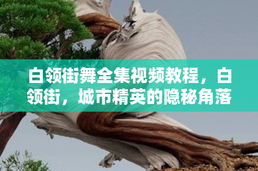 白领街舞全集视频教程,白领街,城市精英的隐秘角落 白领街舞全集视频教程,白领街,城市精英的隐秘角落