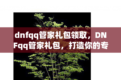 dnfqq管家礼包领取,DNFqq管家礼包,打造你的专属游戏神器 dnfqq管家礼包领取,DNFqq管家礼包,打造你的专属游戏神器