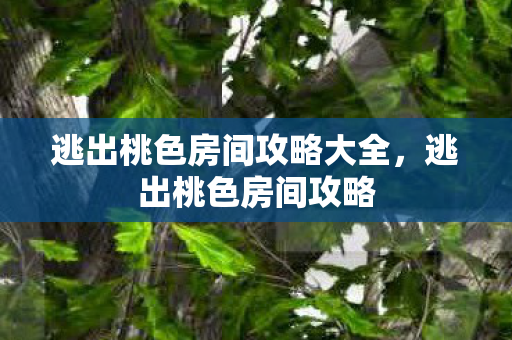 逃出桃色房间攻略大全,逃出桃色房间攻略 逃出桃色房间攻略大全,逃出桃色房间攻略
