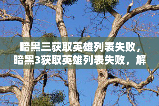 暗黑三获取英雄列表失败，暗黑3获取英雄列表失败，解决之道与游戏攻略