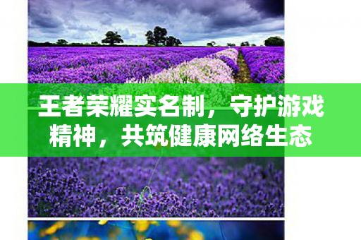 王者荣耀实名制,守护游戏精神,共筑健康网络生态 王者荣耀实名制,守护游戏精神,共筑健康网络生态