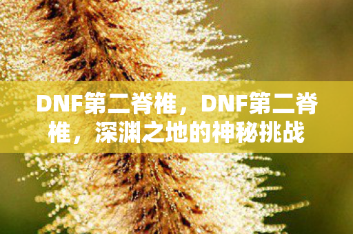 DNF第二脊椎,DNF第二脊椎,深渊之地的神秘挑战 DNF第二脊椎,DNF第二脊椎,深渊之地的神秘挑战