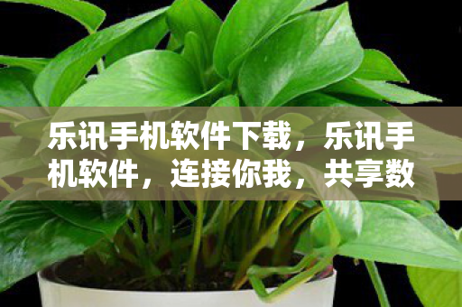 乐讯手机软件下载,乐讯手机软件,连接你我,共享数字生活的桥梁 乐讯手机软件下载,乐讯手机软件,连接你我,共享数字生活的桥梁