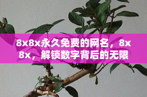8x8x永久免费的网名,8x8x,解锁数字背后的无限可能 8x8x永久免费的网名,8x8x,解锁数字背后的无限可能