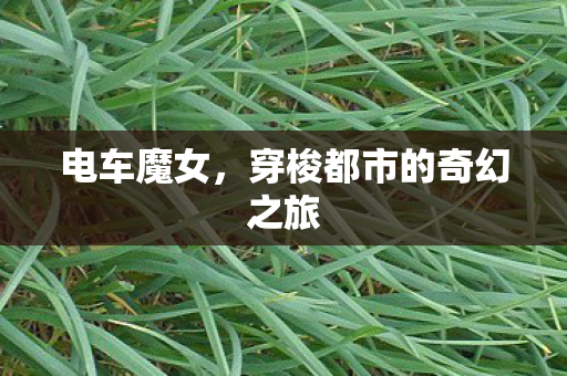 电车魔女,穿梭都市的奇幻之旅 电车魔女,穿梭都市的奇幻之旅