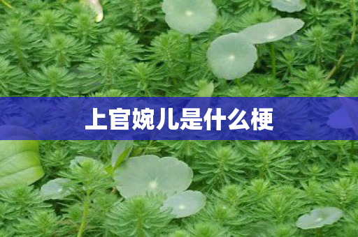 上官婉儿是什么梗 上官婉儿是什么梗