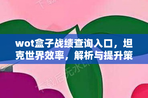 wot盒子战绩查询入口，坦克世界效率，解析与提升策略