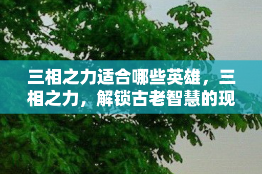 三相之力适合哪些英雄,三相之力,解锁古老智慧的现代应用 三相之力适合哪些英雄,三相之力,解锁古老智慧的现代应用