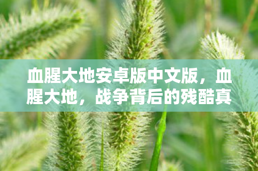 血腥大地安卓版中文版,血腥大地,战争背后的残酷真相 血腥大地安卓版中文版,血腥大地,战争背后的残酷真相