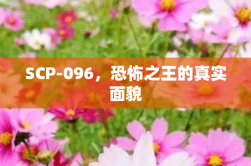 SCP-096,恐怖之王的真实面貌 SCP-096,恐怖之王的真实面貌