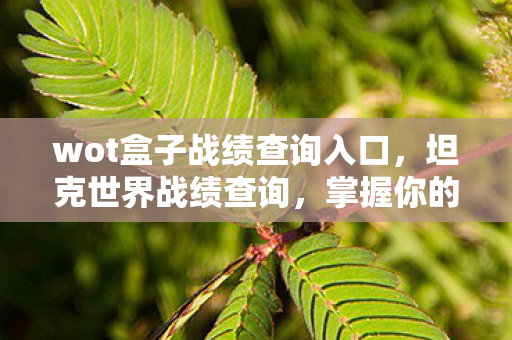 wot盒子战绩查询入口,坦克世界战绩查询,掌握你的战斗数据,提升你的游戏技巧 wot盒子战绩查询入口,坦克世界战绩查询,掌握你的战斗数据,提升你的游戏技巧
