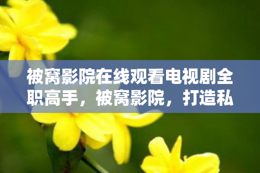 被窝影院在线观看电视剧全职高手，被窝影院，打造私人影院的新潮流