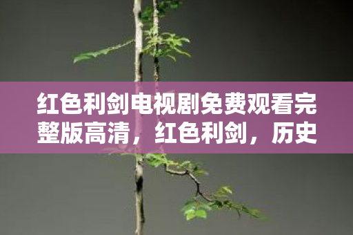 红色利剑电视剧免费观看完整版高清，红色利剑，历史的见证与传承