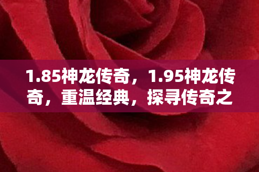 1.85神龙传奇，1.95神龙传奇，重温经典，探寻传奇之路