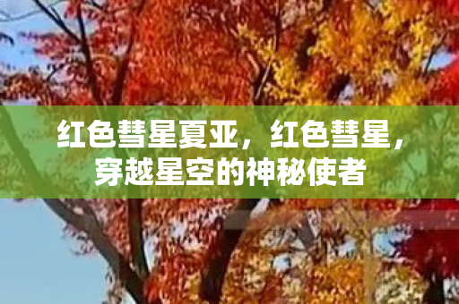 红色彗星夏亚，红色彗星，穿越星空的神秘使者