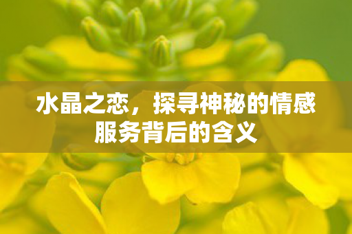 水晶之恋,探寻神秘的情感服务背后的含义 水晶之恋,探寻神秘的情感服务背后的含义