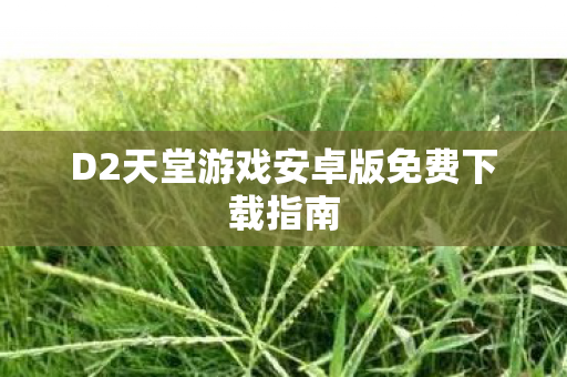 D2天堂游戏安卓版免费下载指南 D2天堂游戏安卓版免费下载指南
