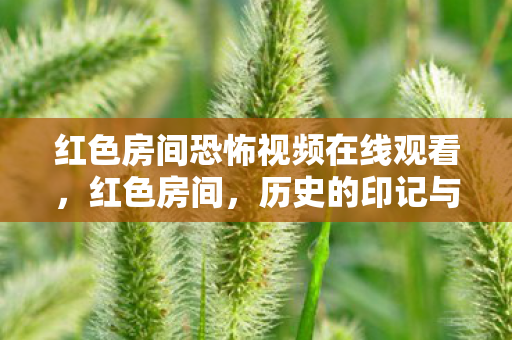 红色房间恐怖视频在线观看,红色房间,历史的印记与文化的象征 红色房间恐怖视频在线观看,红色房间,历史的印记与文化的象征
