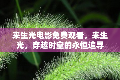 来生光电影免费观看,来生光,穿越时空的永恒追寻 来生光电影免费观看,来生光,穿越时空的永恒追寻