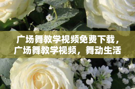 广场舞教学视频免费下载,广场舞教学视频,舞动生活的快乐音符 广场舞教学视频免费下载,广场舞教学视频,舞动生活的快乐音符