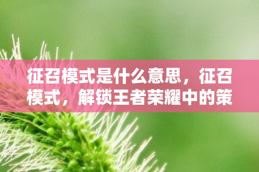 征召模式是什么意思,征召模式,解锁王者荣耀中的策略与智慧 征召模式是什么意思,征召模式,解锁王者荣耀中的策略与智慧