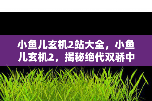 小鱼儿玄机2站大全,小鱼儿玄机2,揭秘绝代双骄中的智慧与情感 小鱼儿玄机2站大全,小鱼儿玄机2,揭秘绝代双骄中的智慧与情感