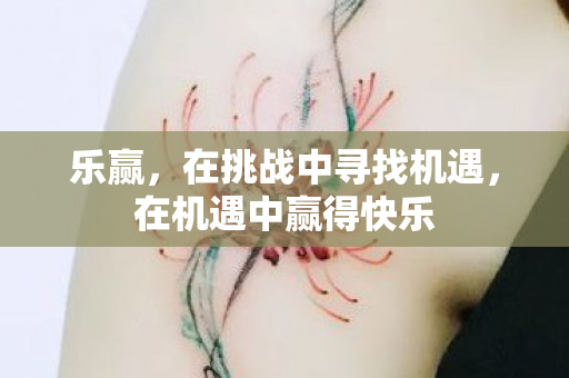 乐赢，在挑战中寻找机遇，在机遇中赢得快乐