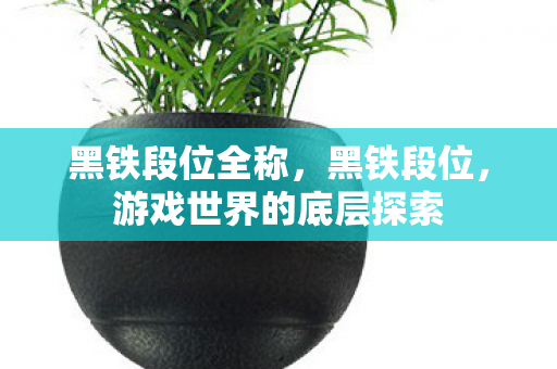 黑铁段位全称，黑铁段位，游戏世界的底层探索
