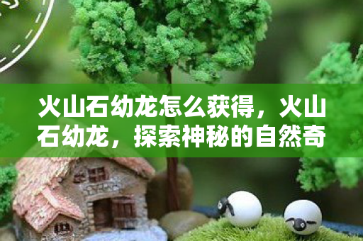 火山石幼龙怎么获得,火山石幼龙,探索神秘的自然奇观 火山石幼龙怎么获得,火山石幼龙,探索神秘的自然奇观