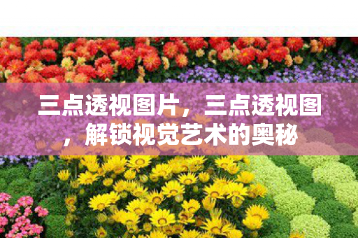 三点透视图片,三点透视图,解锁视觉艺术的奥秘 三点透视图片,三点透视图,解锁视觉艺术的奥秘