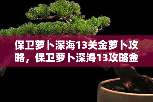 保卫萝卜深海13关金萝卜攻略，保卫萝卜深海13攻略金萝卜布阵图