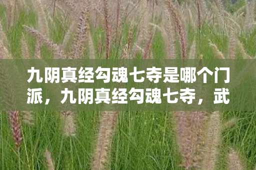 九阴真经勾魂七夺是哪个门派,九阴真经勾魂七夺,武侠世界的神秘传说 九阴真经勾魂七夺是哪个门派,九阴真经勾魂七夺,武侠世界的神秘传说