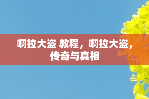 啊拉大盗 教程，啊拉大盗，传奇与真相